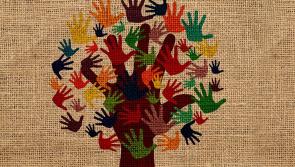 Amenity grants recognise the work of Kilkenny volunteers