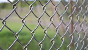 Kilkenny youths’ nightmare ordeal at work camp