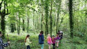 Over €300,000 for outdoor projects all across Kilkenny - click for allocations!