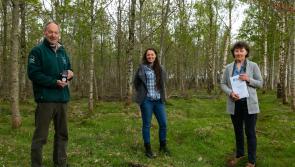 Two RDS Sustainable Agriculture Awards for Kilkenny