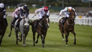 Great week for Graignamanagh jockey Shane Foley