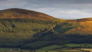 Eleven outdoor walks to enjoy in Kilkenny as evenings get brighter 