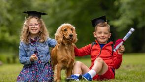 Kilkenny pet care experts launch free online resource for pup parents