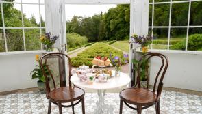 Restored Woodstock Tea Rooms a 'fantastic enhancement' of Kilkenny