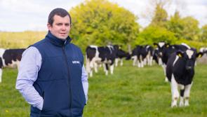 Twenty20 Beef Club takes coveted European Award for Cooperative Innovation