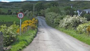 Speeding ‘out of control’ on Kilkenny roads ahead of countywide speed limit review 