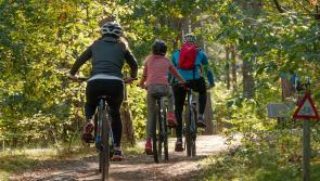 Excellent opportunities to create jobs in Kilkenny communities along South East Greenway 