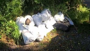 Twelve bags of rubbish dumped in scenic Kilkenny countryside