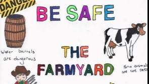 Kilkenny boy's farm safety poster is Teagasc competition winner