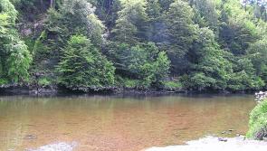 'No action' taken to stop sewage flowing into popular Kilkenny swimming spot