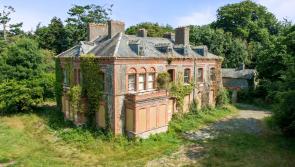 PROPERTY WATCH: Expressions of interest sought for Millbrook House in Abbeyleix