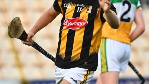 Young Cats go  in search of more glory