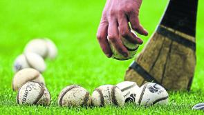 Cats beware - Kilkenny hurlers are bad company!
