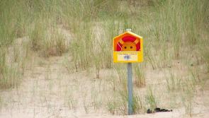 Nine drownings in seven days - stay safe appeal to water users in Kilkenny and around the country