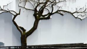 Multi-media live theatre  installation at St Francis Abbey during Kilkenny Arts Festival