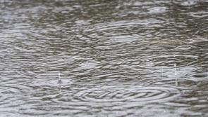 Kilkenny houses flooded during rainstorm