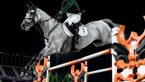Tokyo 2020- O’CONNOR FINISHES BEST OF THE IRISH SHOW JUMPERS IN SEVENTH PLACE IN THE INDIVIDUAL FINAL

 