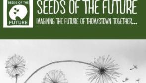 Community invited to participate in series of workshops in Thomastown
