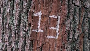EXPLAINER: Why is Friday the 13th considered to be so unlucky?