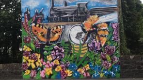 Local memories and stories inspire stunning Castlecomer murals
