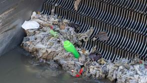 Clean Coasts and Irish Water urge the people of Kilkenny to ‘Think Before You Flush’