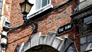 Blood, hounds, bulls and bets - remnants of a savage pastime etched onto Kilkenny streets 