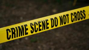 Gardaí appeal for witnesses following serious incident in Carlow Town 