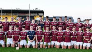 Shine goal helps Dicksboro see off solid Naas challenge in minor league final
