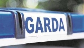 Garda&iacute; in Kilkenny urge locals to take measures to prevent oil, coal and fuel theft