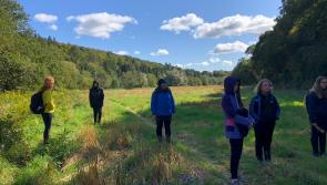 Celebrate our woods and trees across Kilkenny with Acorn Project workshops