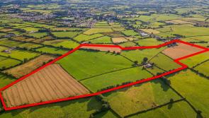 PROPERTY WATCH: Midlands farm expected to fetch seven-figure sum at auction