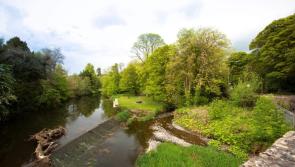 Tidy Towns shocks for Kilkenny and awards for local craftsmen