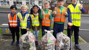 More than  2,000  volunteers from Kilkenny joined in Spring Clean 