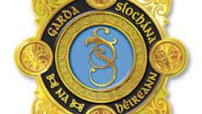 Gardaí appeal for assistance after attempted burglary at Kilkenny housing estate