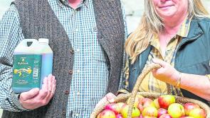 Nine Kilkenny producers named as finalists in  Blas na hÉireann awards