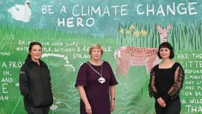 Castlecomer Discovery Park uses creative communication to tackle climate challenges