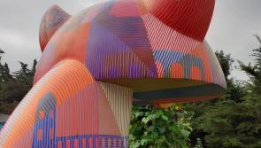 Kilkenny Catwalk: New trail of 21 cat sculptures  to be unveiled on Kilkenny Day