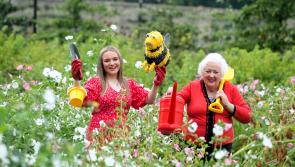 The President’s Award calls on the Kilkenny public to plant a bulb to protect our bees