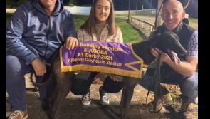 Weekend highlights from Kilkenny Greyhound Track