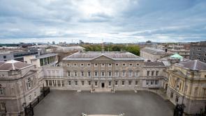 'Thuggery' - Kilkenny TDs react to Dáil protests 