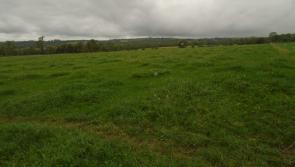 Farming: Prime grazing land makes €400 per acre at Kilkenny auction