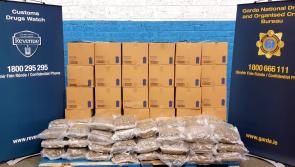 BREAKING: Two arrested as gardaí and Revenue seize €1.18m drugs in Kilkenny 
