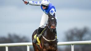 No regrets for Mullins as he sets off on new career path