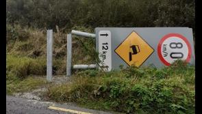 'What a stupid thing to do' - Kilkenny councillor condemns cutting down of sign