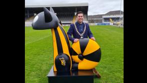 Mayor congratulates organisers of Kilkenny Day on 'a resounding success' 