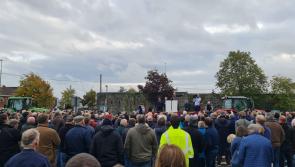 First weakening of cattle prices at Kilkenny Mart