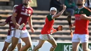 Shamrocks and James Stephens lock horns as draws for Kilkenny SHC, IHC and JHC are made