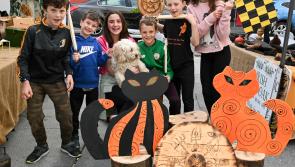 Gallery #2:  Kilkenny Day sees Cats soak up the sun and enjoy what's on offer
