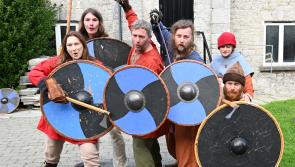 Gallery #3: Parade fun, Viking hijinks and Catwalk celebrations on Kilkenny Day