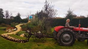 Kilkenny growers taking the lead in Irish chipping potato pilot project 
